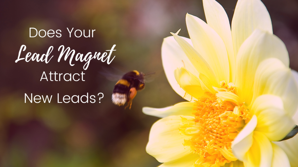 Is your lead magnet attracting new leads